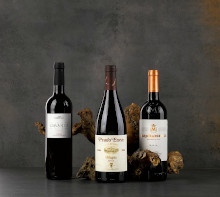 Winebanc Cellar Size - Extra Large