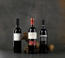 Winebanc Cellar Size - Small